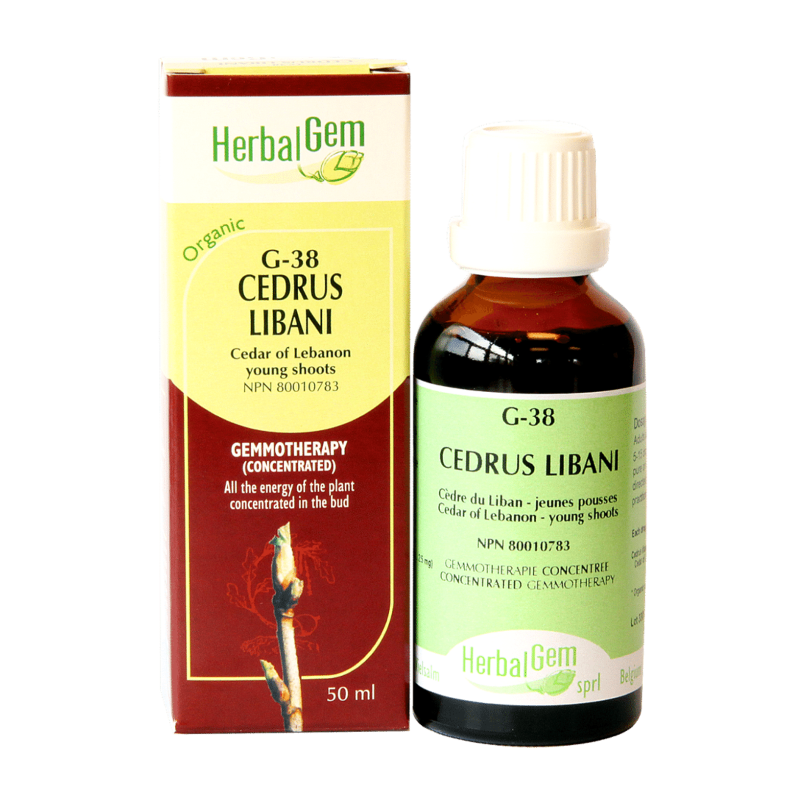 HERBALGEM HERBALGEM CEDRUS LIBANI G38 30ML