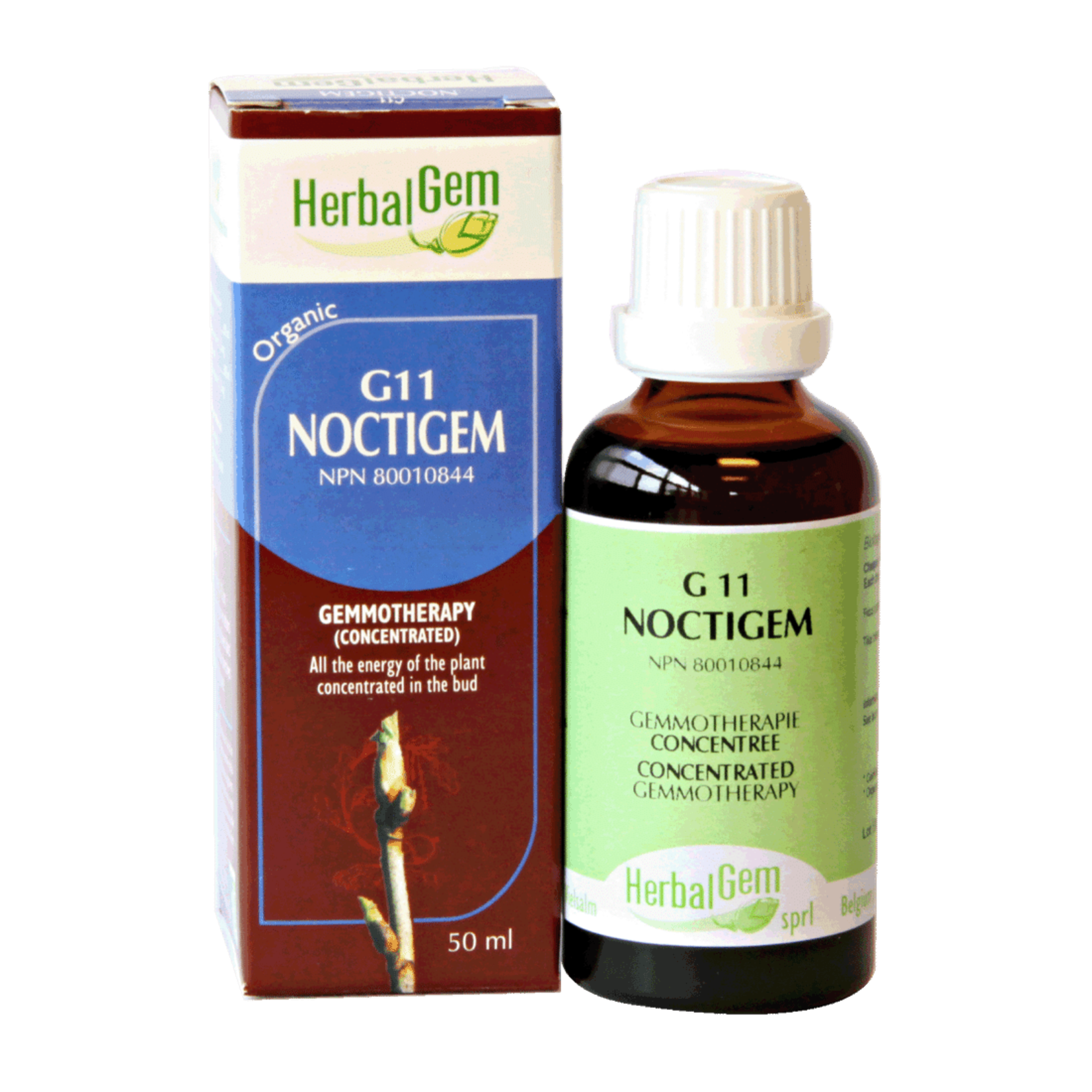 HERBALGEM HERBALGEM NOCTIGEM (G11) 15ML