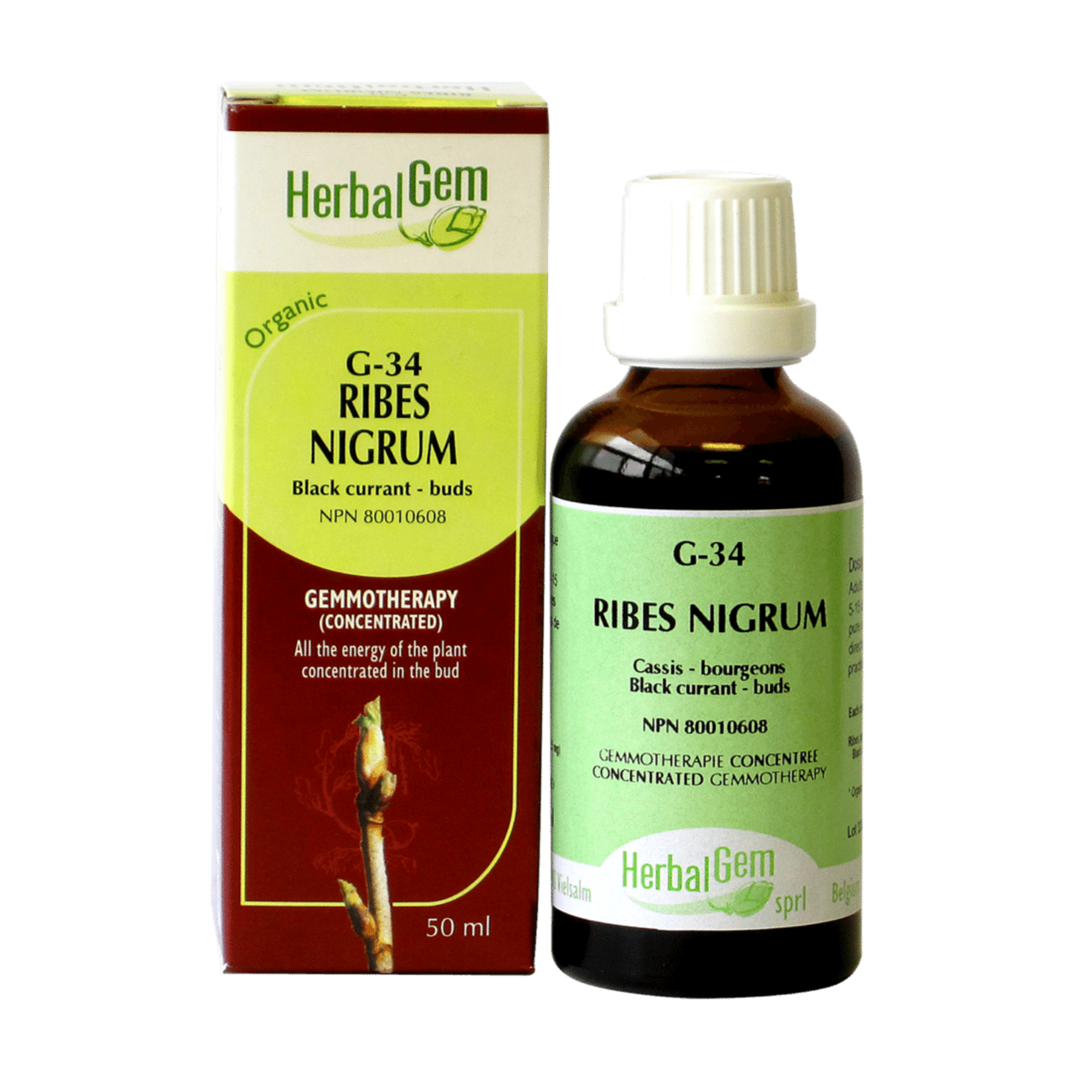 HERBALGEM HERBALGEM RIBES NIGRUM (G34) 30ML