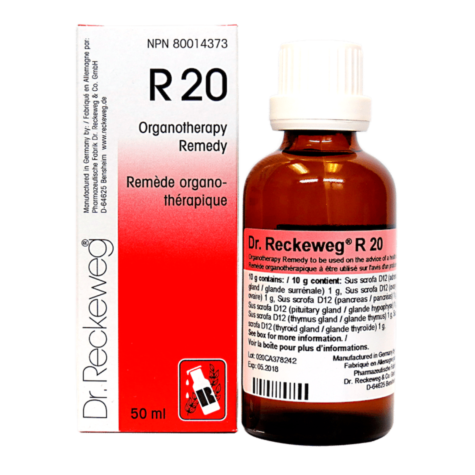 RECKEWEG RECKEWEG R20 22ML