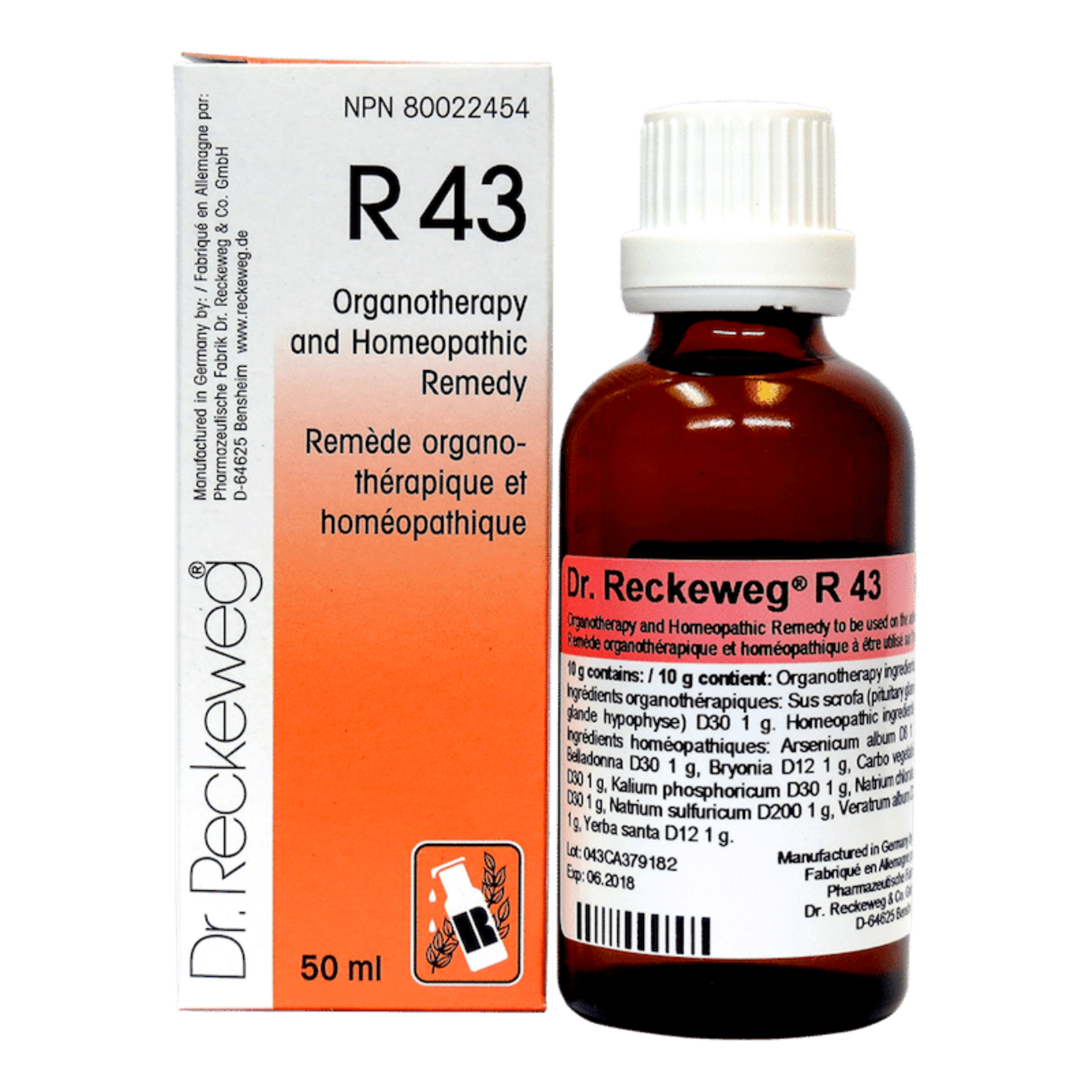 RECKEWEG RECKEWEG R43 22ML