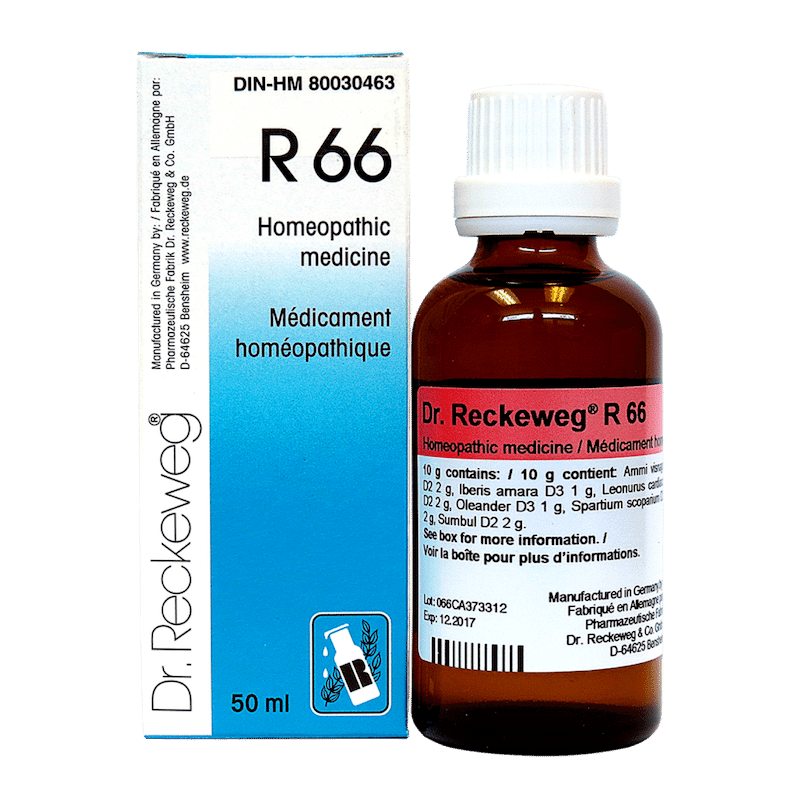 RECKEWEG RECKEWEG R66 50ML - BMS Resources