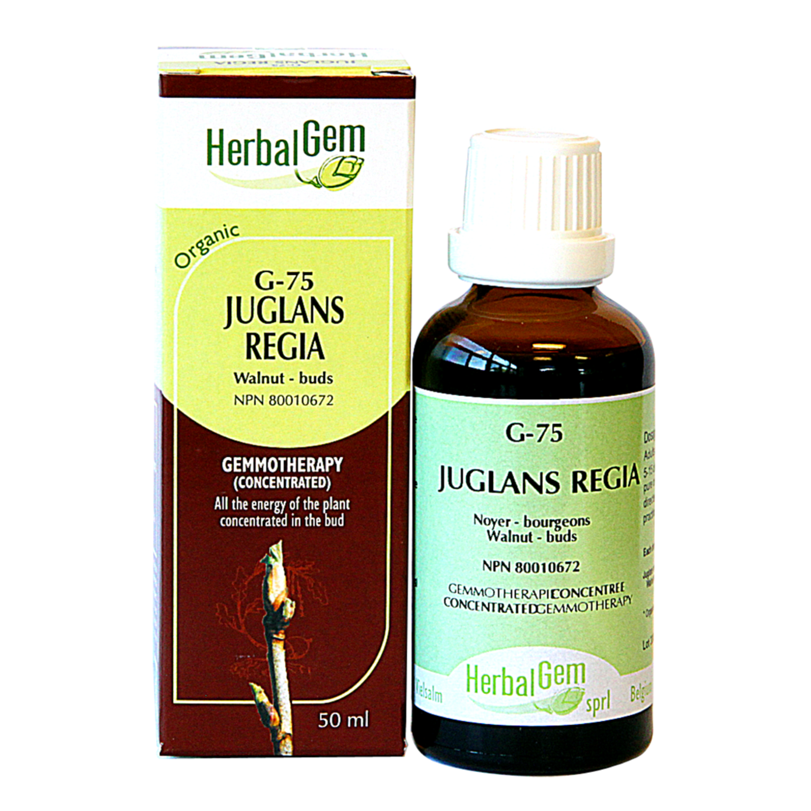 HERBALGEM HERBALGEM JUGLANS REGIA (G75) 50ml