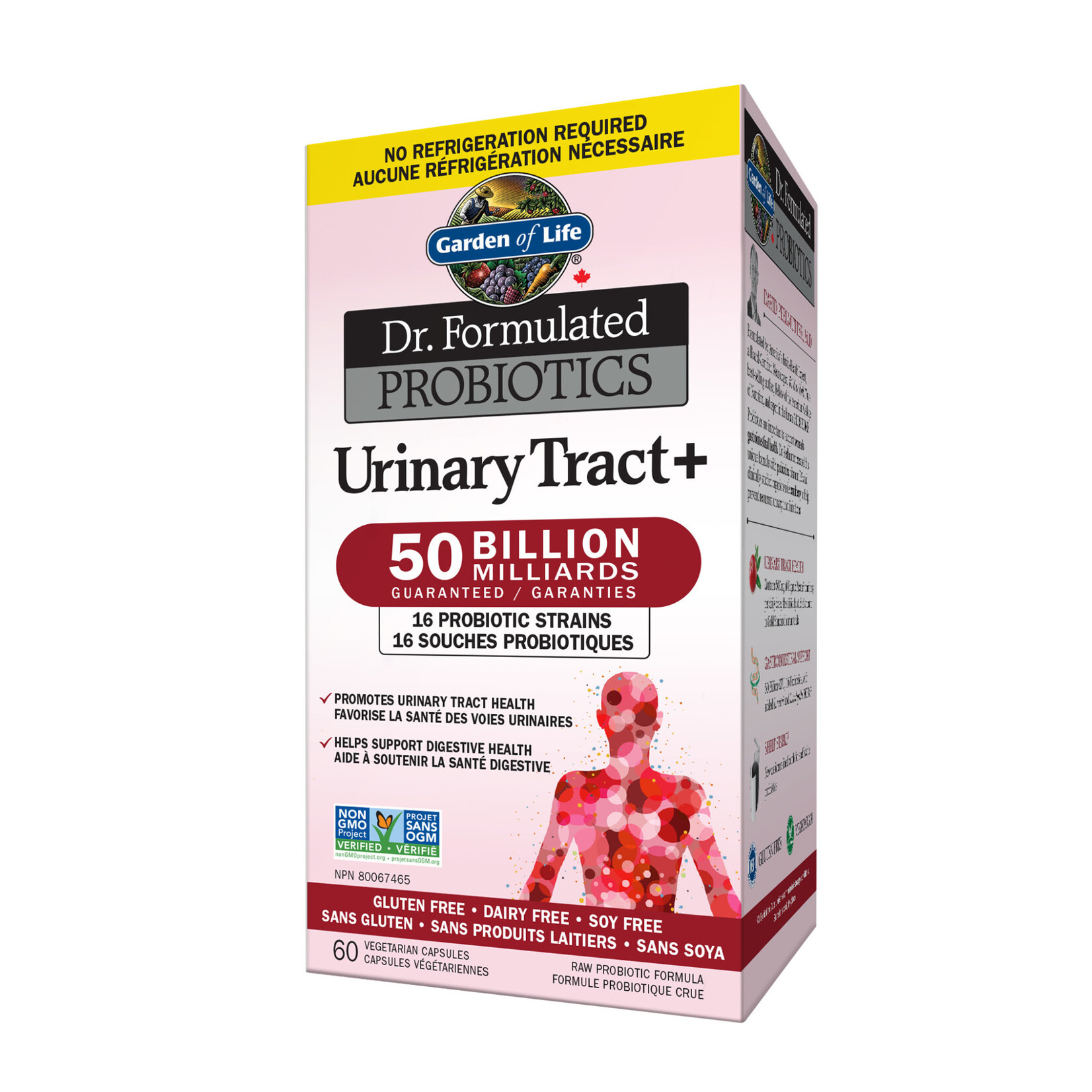 GARDEN OF LIFE GARDEN OF LIFE DR F URINARY TRACT+ 50-B SS 60VCAPS
