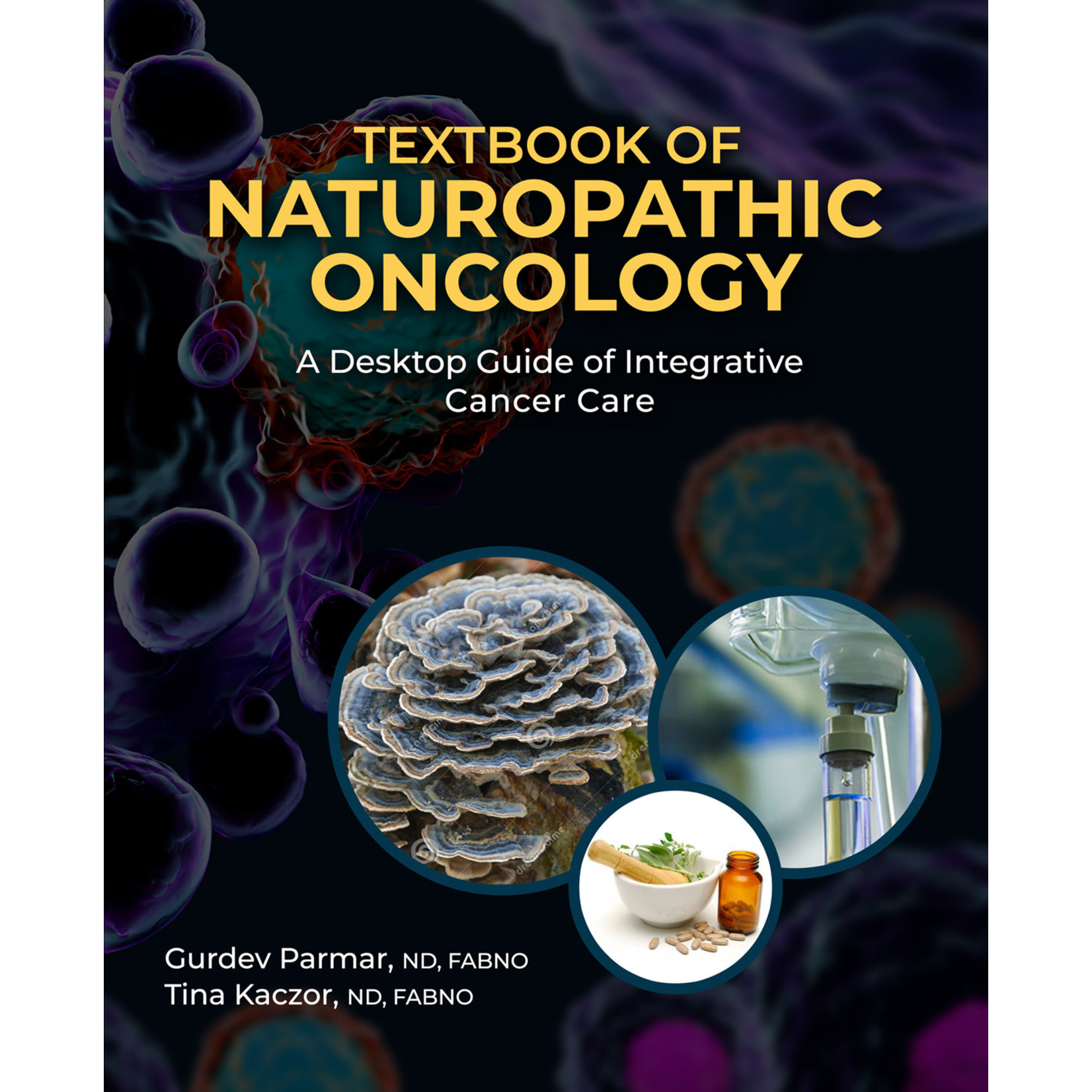MEDICATRIX HOLDINGS TEXTBOOK OF NATUROPATHIC ONCOLOGY  (G. PARMAR ET AL.)