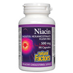 NATURAL FACTORS NATURAL FACTORS NIACIN INOSITOL 500MG (NO FLUSH) 90 CAPS