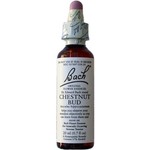BACH FLOWER REMEDIES BACH FLOWER CHESTNUT BUD 20ML