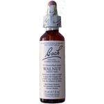 BACH FLOWER REMEDIES BACH FLOWER WALNUT 20ML