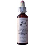 BACH FLOWER REMEDIES BACH FLOWER STAR OF BETHLEHEM 20ML