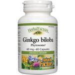 NATURAL FACTORS NATURAL FACTORS GINKGO BILOBA PHYTOSOME 60MG 60CAPS