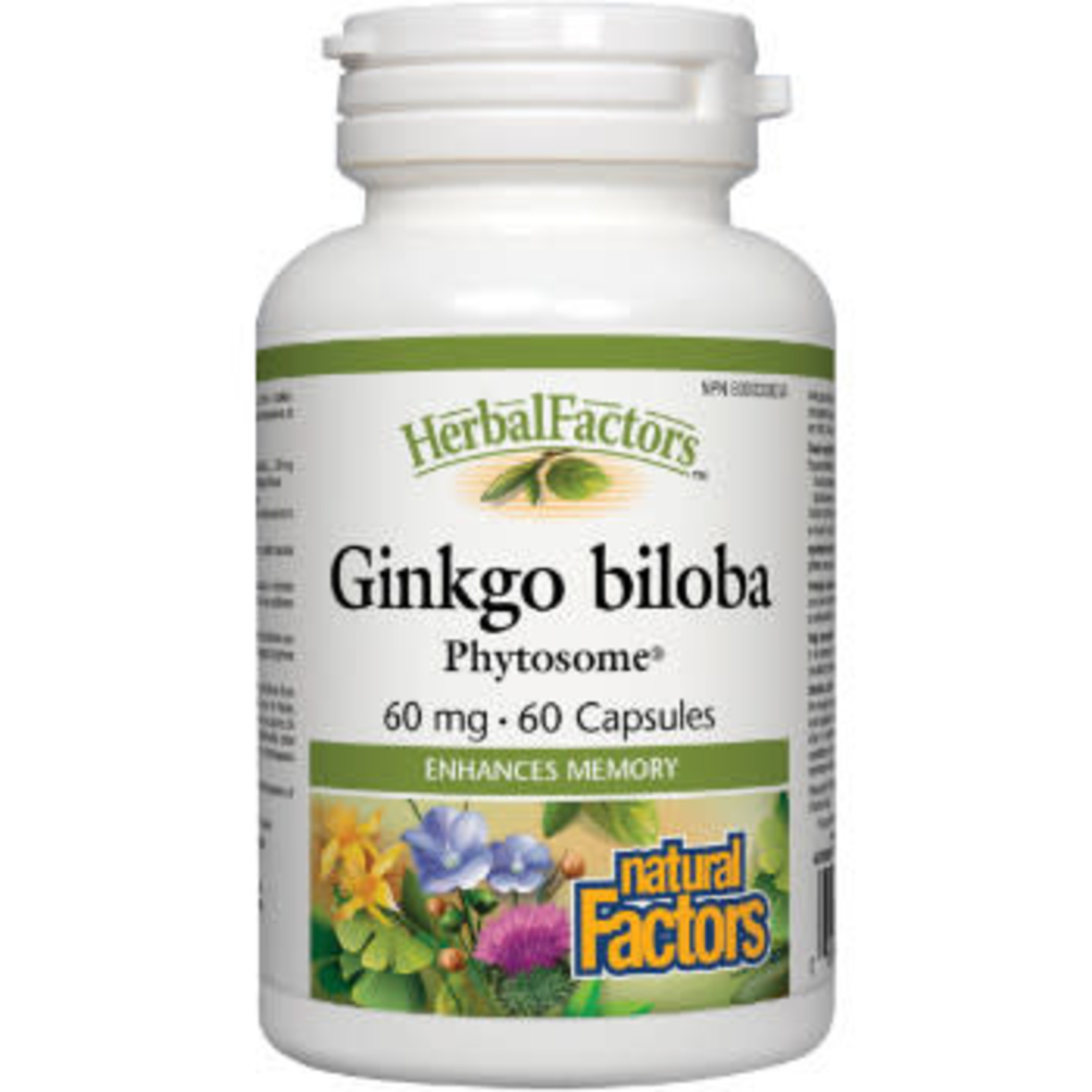 NATURAL FACTORS NATURAL FACTORS GINKGO BILOBA PHYTOSOME 60MG 60CAPS