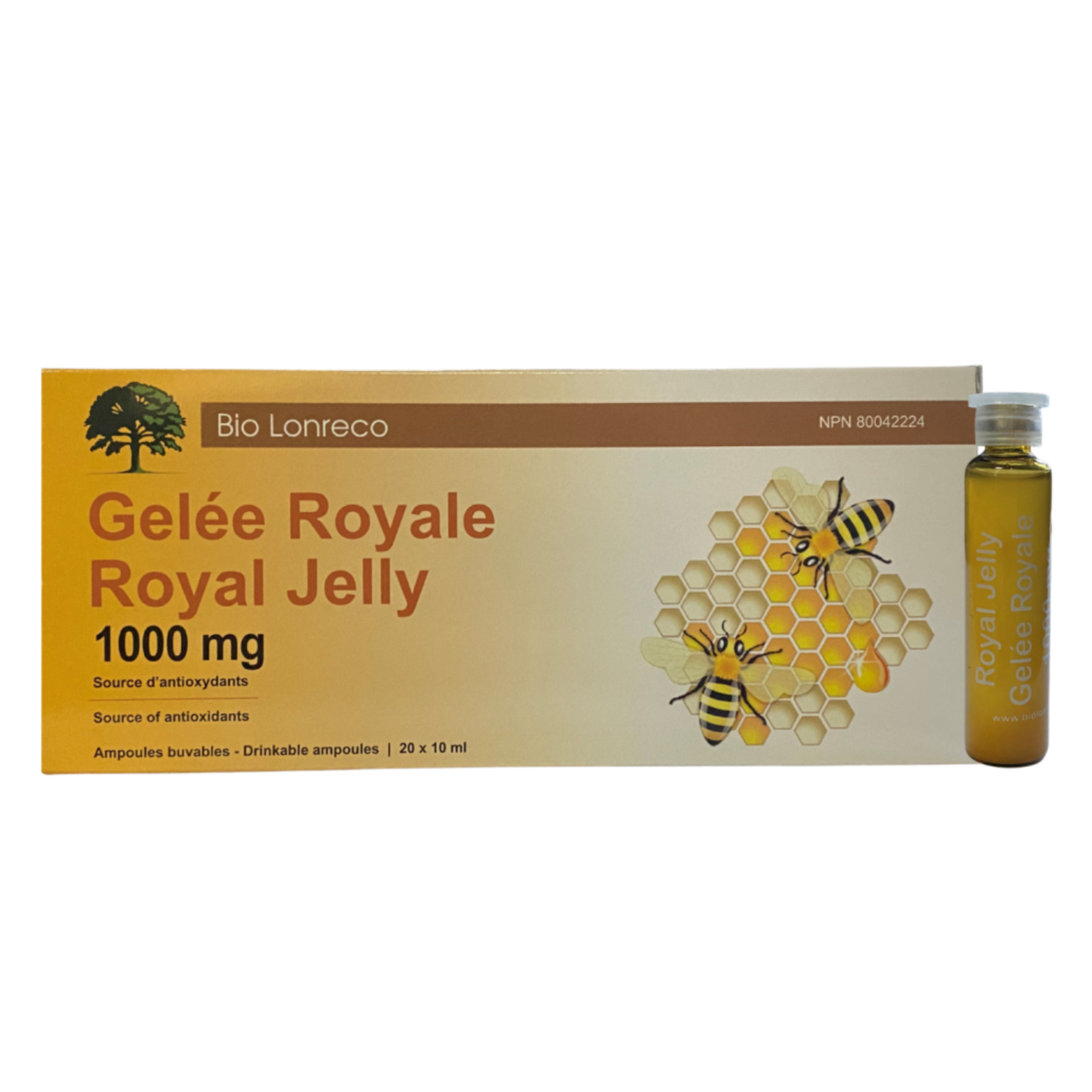 RECKEWEG RECKEWEG ROYAL JELLY+ 20 AMPOULES