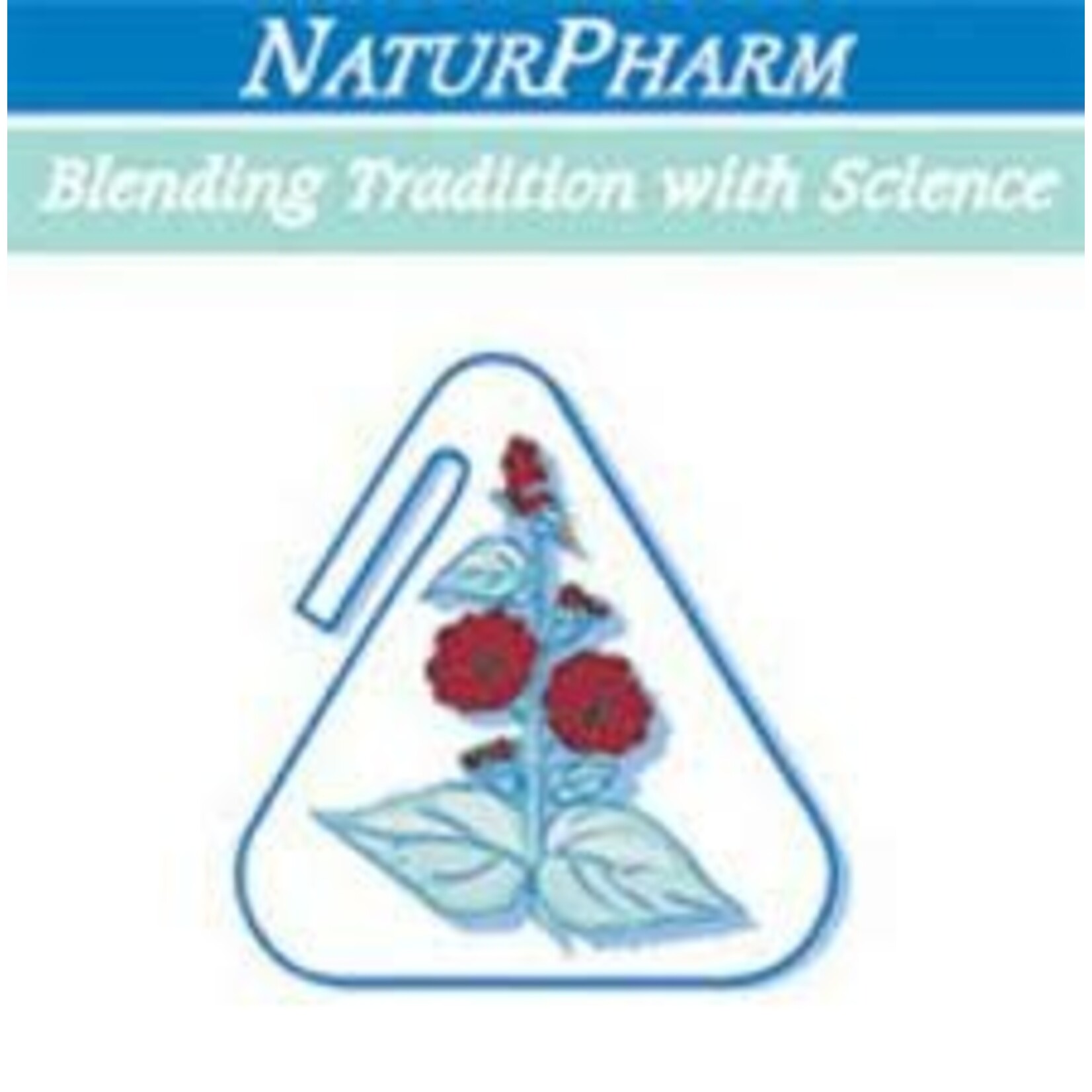 NATURPHARM NATURPHARM BLF BEAN/FIBRE-ZYM+ 60 CAPS