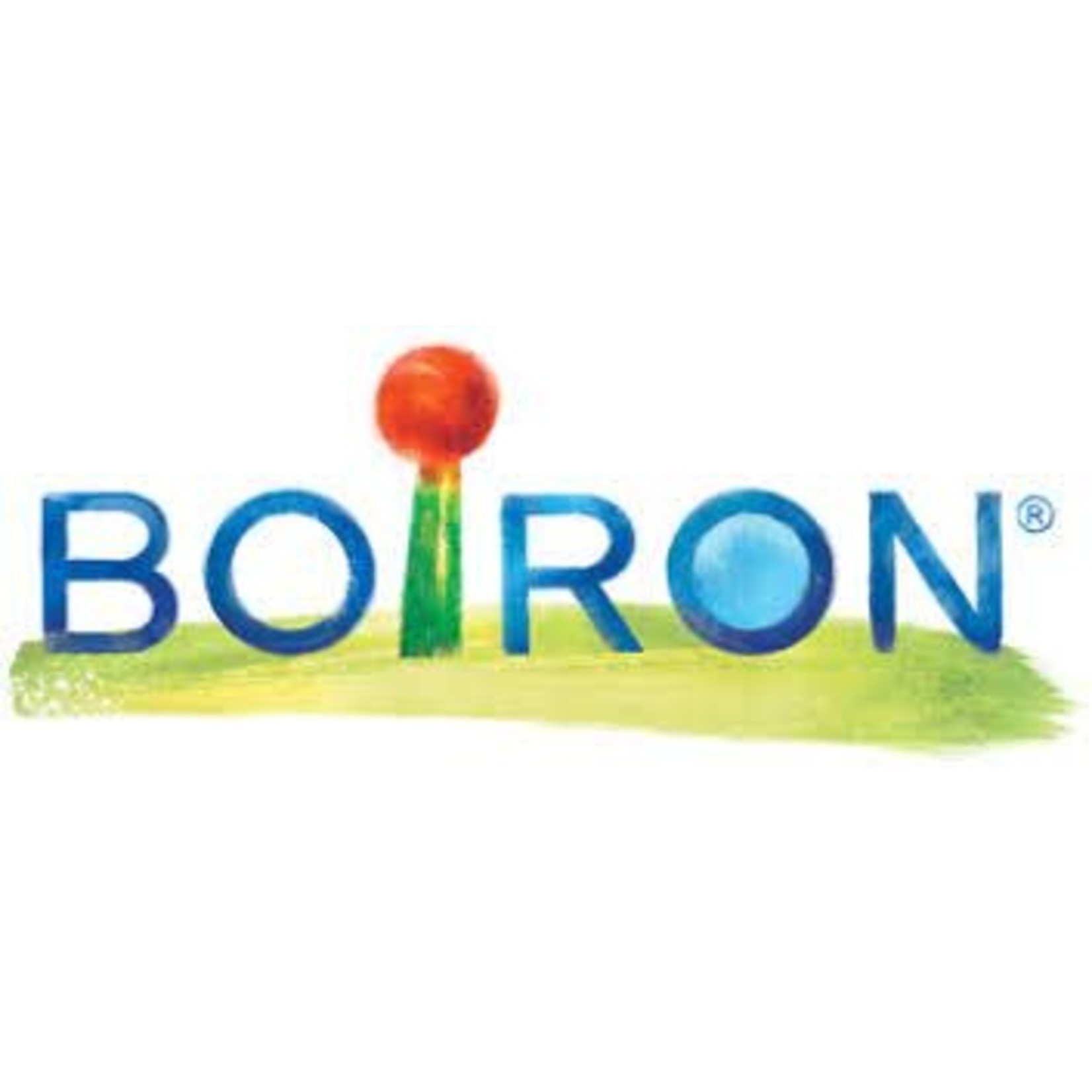 BOIRON BOIRON NATRUM SULPHURICUM 6DH TISSUE SALT 240 TABS