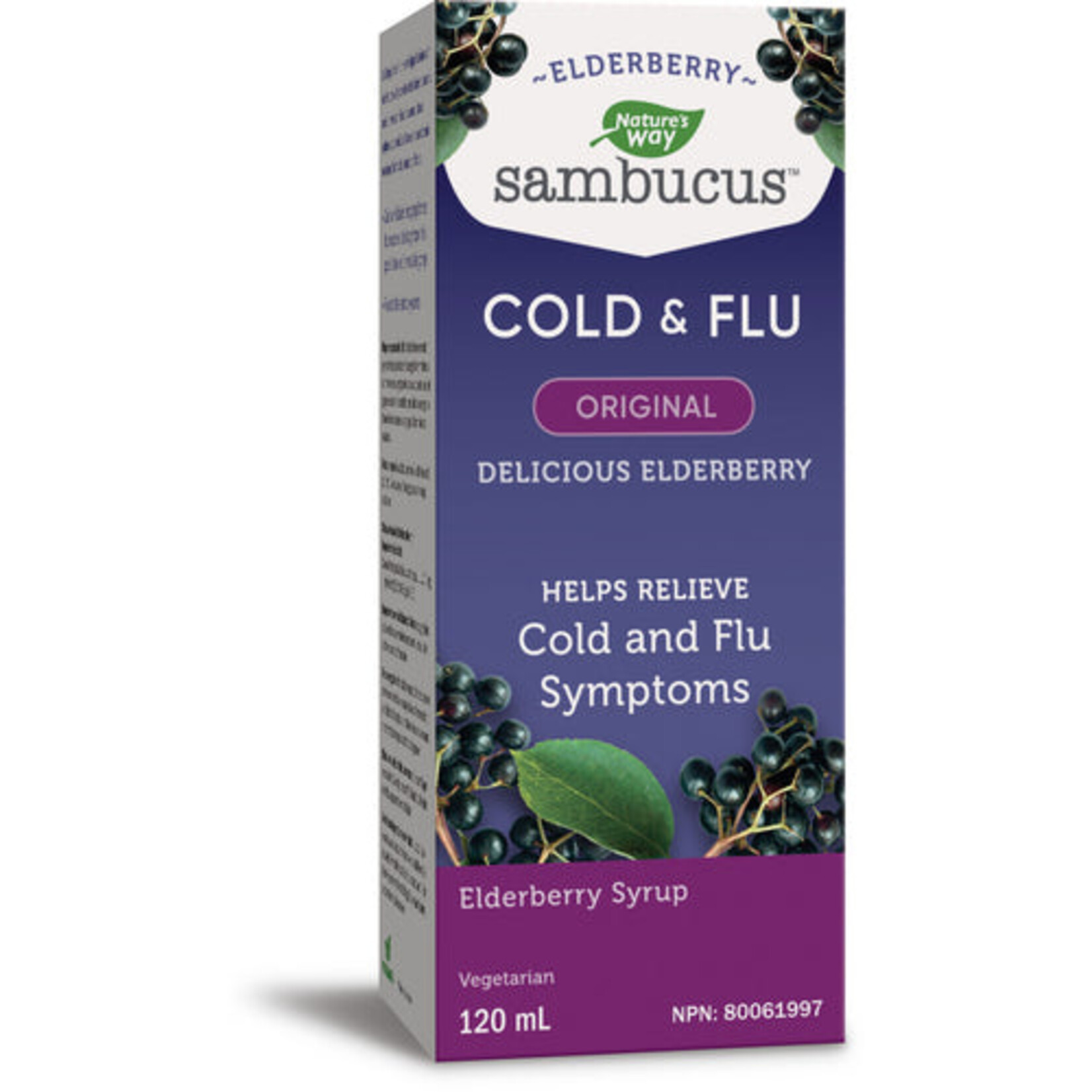 NATURES WAY NATURE'S WAY ORGANIC SAMBUCUS ELDERBERRY SYRUP COLD & FLU 120ML