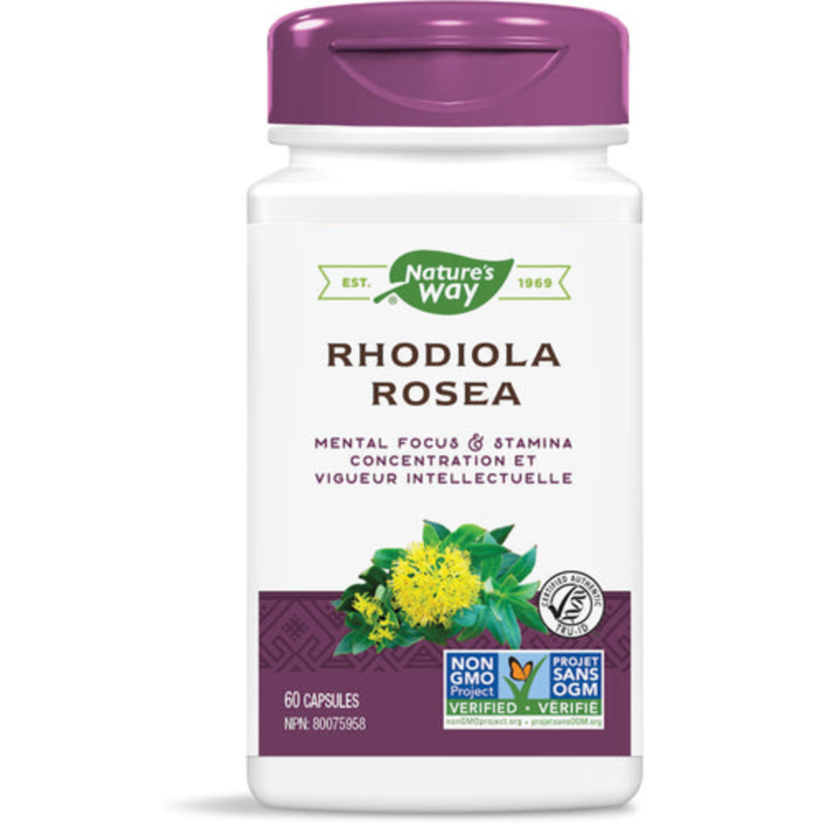 NATURES WAY NATURE'S WAY RHODIOLA ROSEA 250mg 60 CAPS