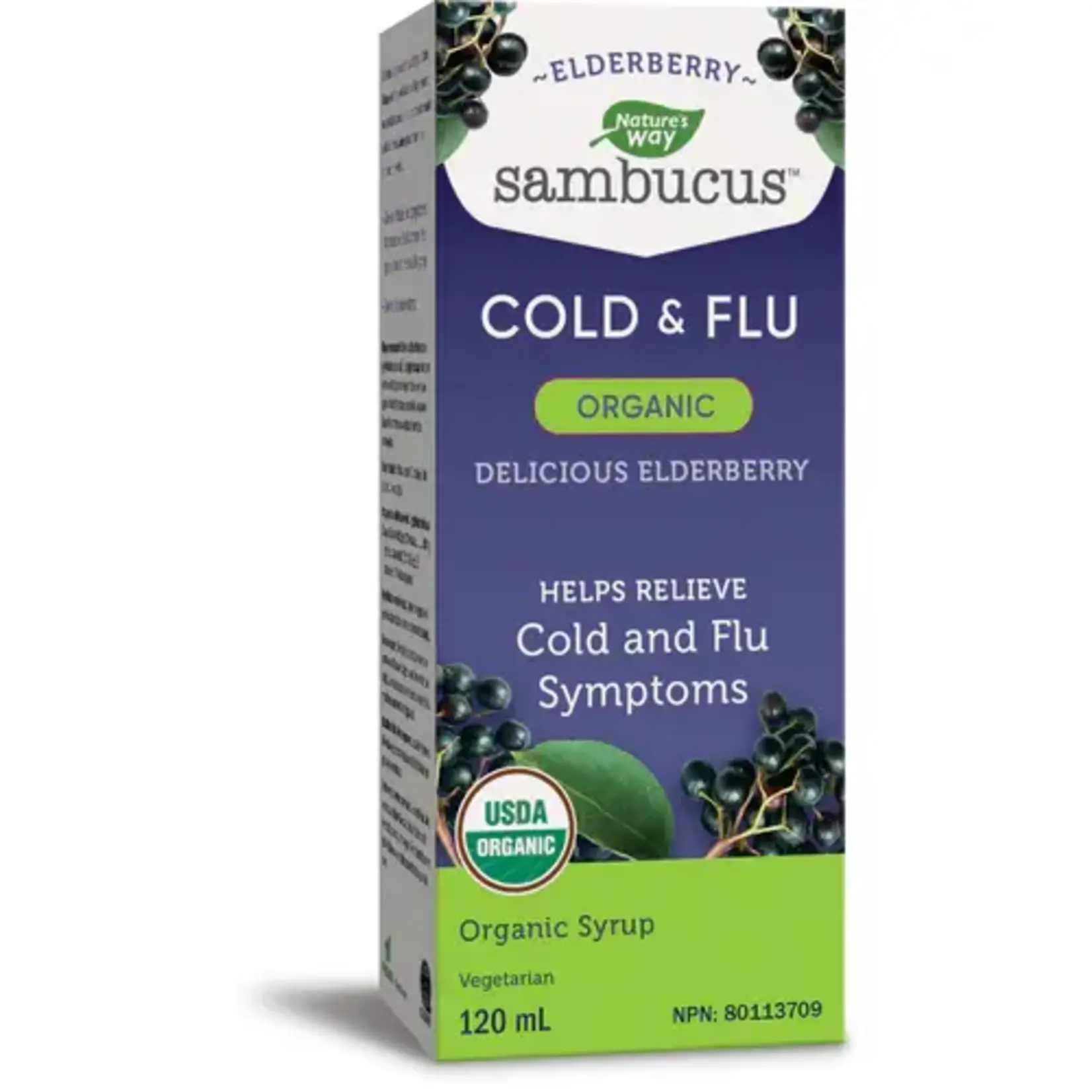 NATURES WAY NATURE'S WAY ORGANIC SAMBUCUS ELDERBERRY SYRUP COLD & FLU 120ML