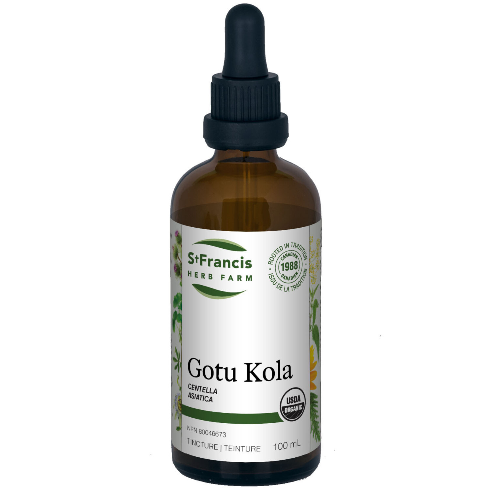 ST FRANCIS ST FRANCIS GOTU KOLA TINCTURE 50ML