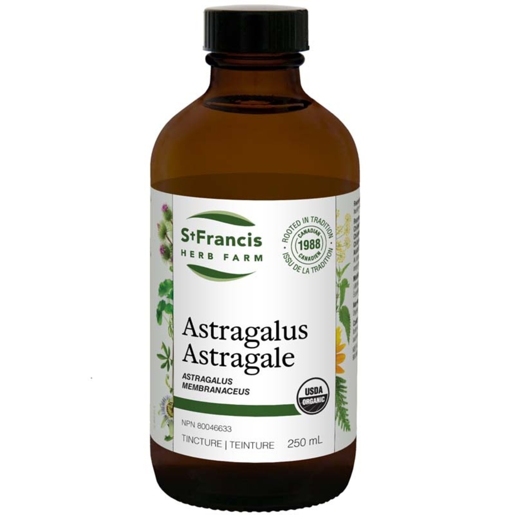 ST FRANCIS ST FRANCIS ASTRALAGUS TINCTURE 250ML