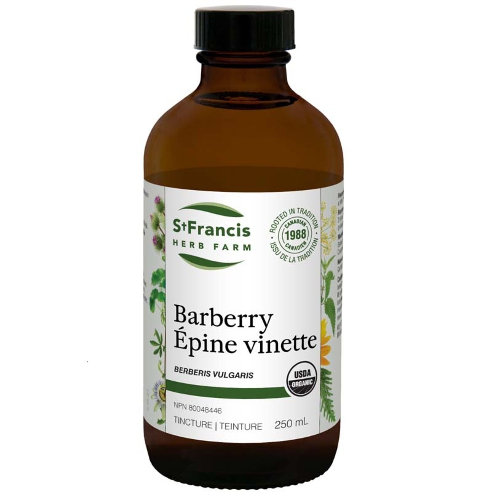 ST FRANCIS ST FRANCIS BARBERRY TINCTURE 250ML