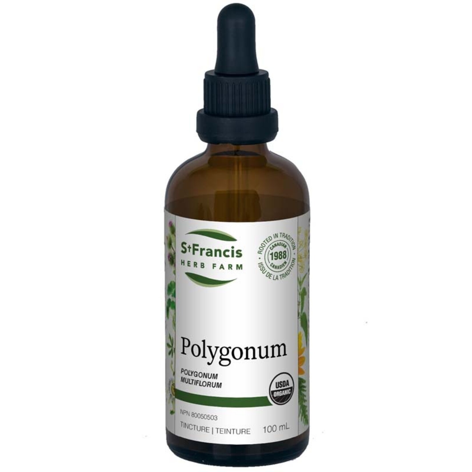 ST FRANCIS ST FRANCIS POLYGONUM TINCTURE 50ML