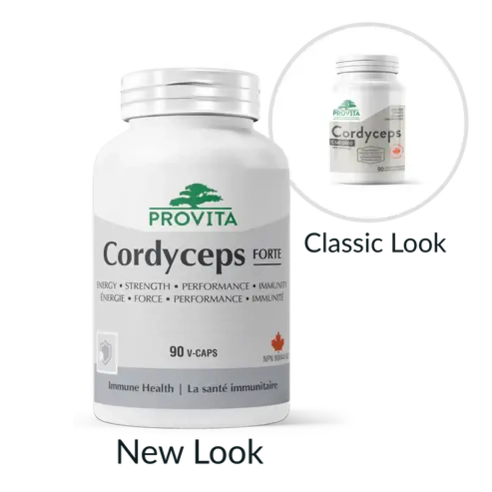 PROVITA PROVITA CORDYCEPS CSM 2000 90 CAPS (4:1 EXTRACT)