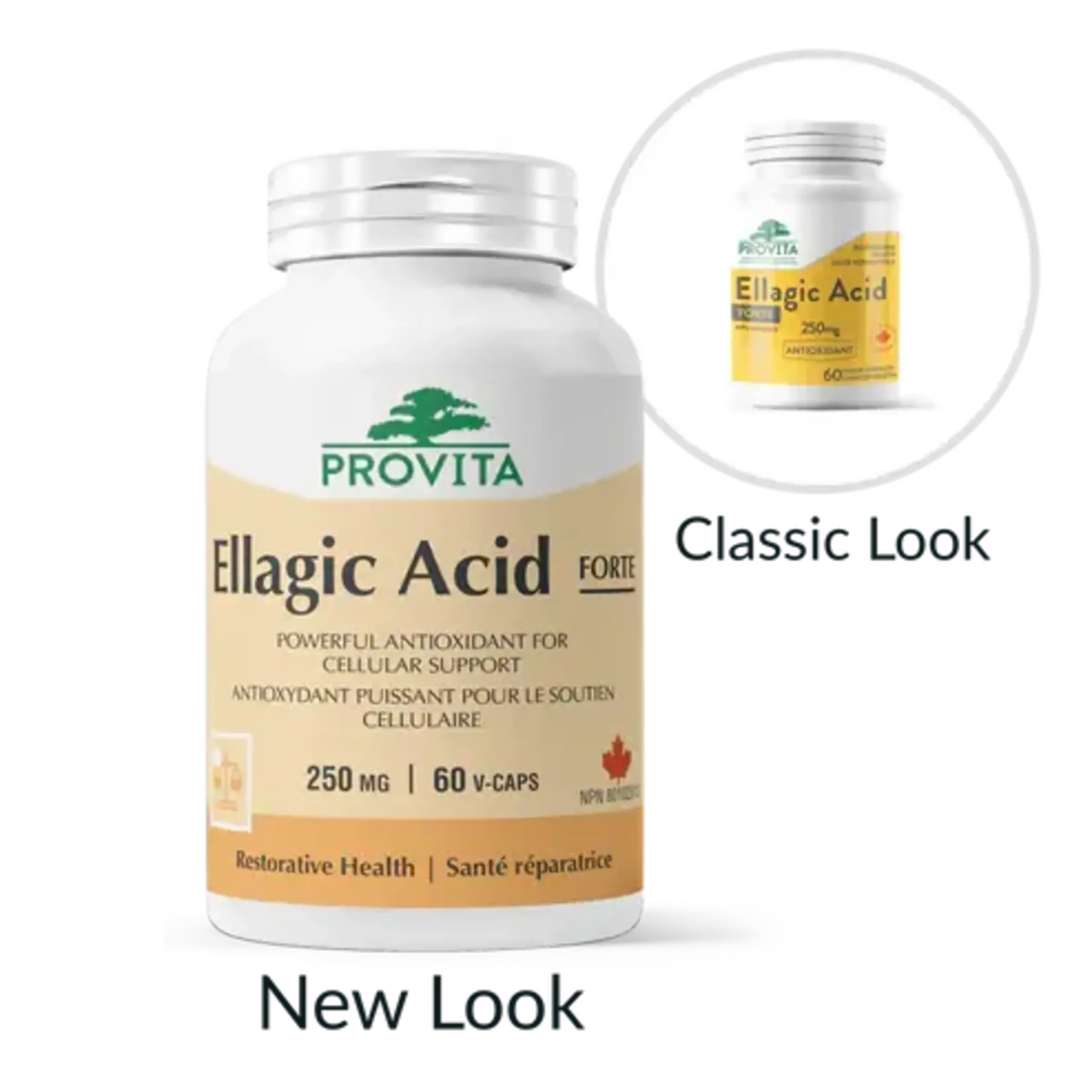 PROVITA PROVITA ELLAGIC ACID 250MG 60VEG CAPS
