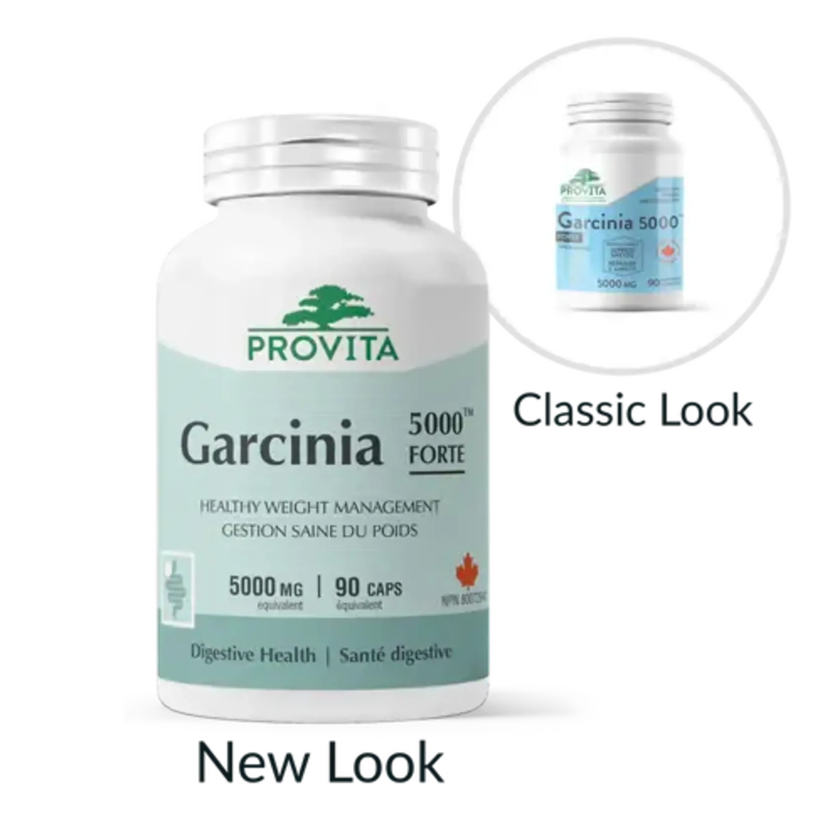 PROVITA PROVITA GARCINIA 5000MG  FORTE 90 CAPS