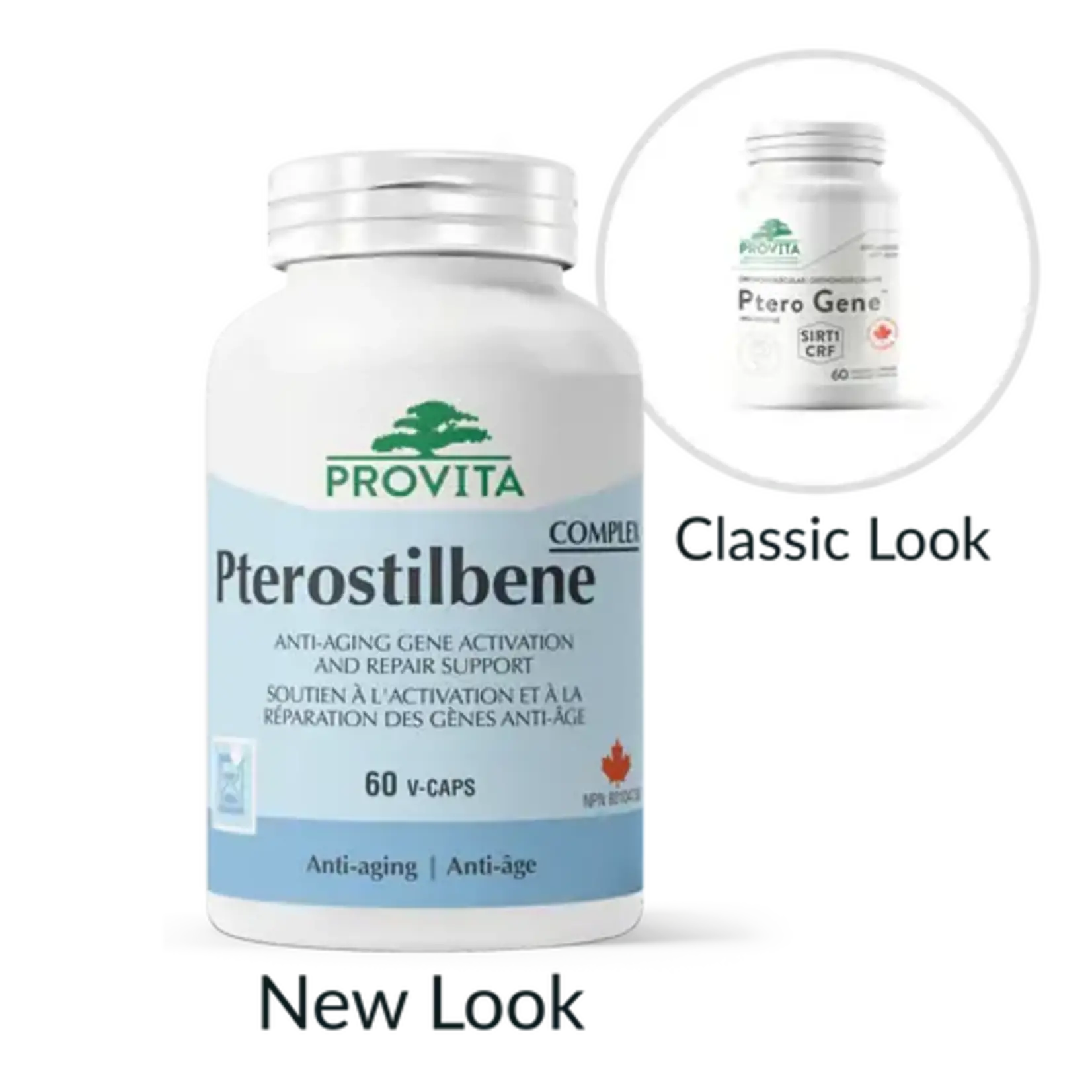 PROVITA PROVITA PTERO GENE (Pterostilbene Complex)60 VEG CAPS