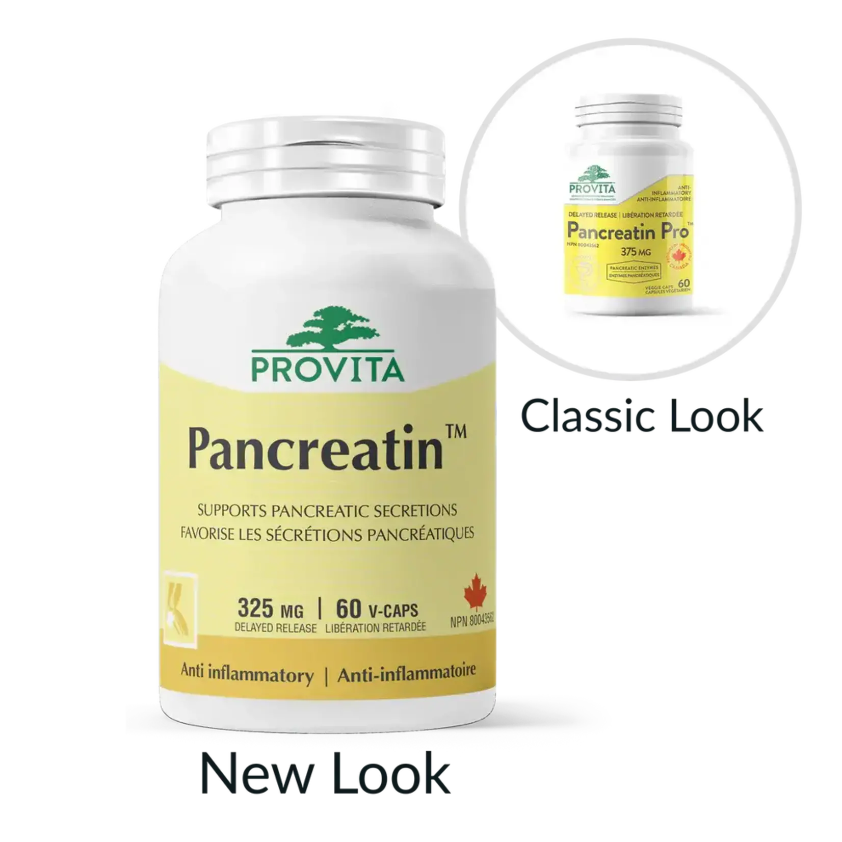 PROVITA PROVITA PANCREATIN PRO 60 VCAPS