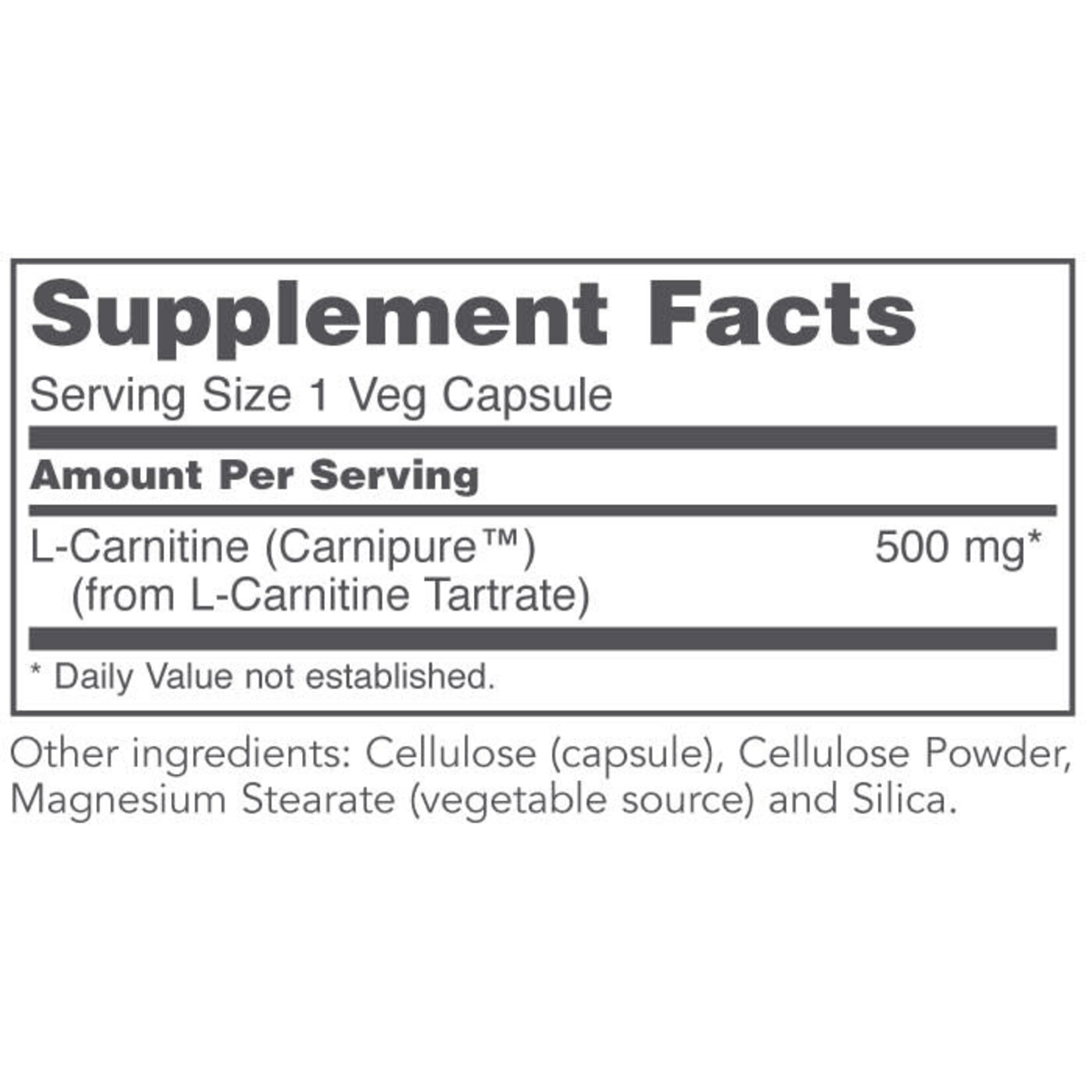 PROTOCOL PROTOCOL L-CARNITINE 500MG 60 VEGICAPS