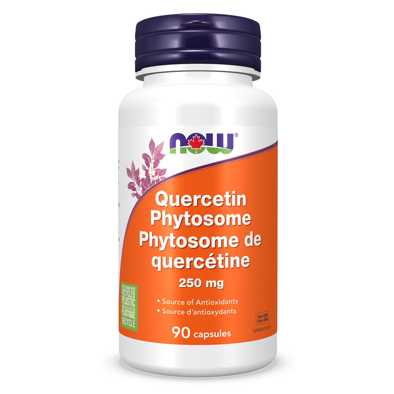 NOW FOODS NOW QUERCETIN PHYTOSOME 250MG 90 VCAP