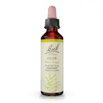 BACH FLOWER REMEDIES BACH FLOWER OLIVE 20ML