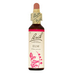 BACH FLOWER REMEDIES BACH FLOWER ELM 20ML