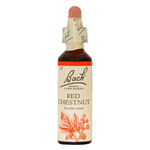 BACH FLOWER REMEDIES BACH FLOWER RED CHESTNUT 20ML