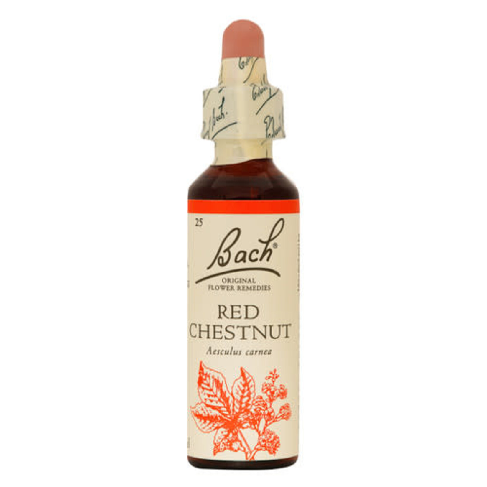 BACH FLOWER REMEDIES BACH FLOWER RED CHESTNUT 20ML