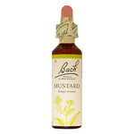 BACH FLOWER REMEDIES BACH FLOWER MUSTARD 20ML
