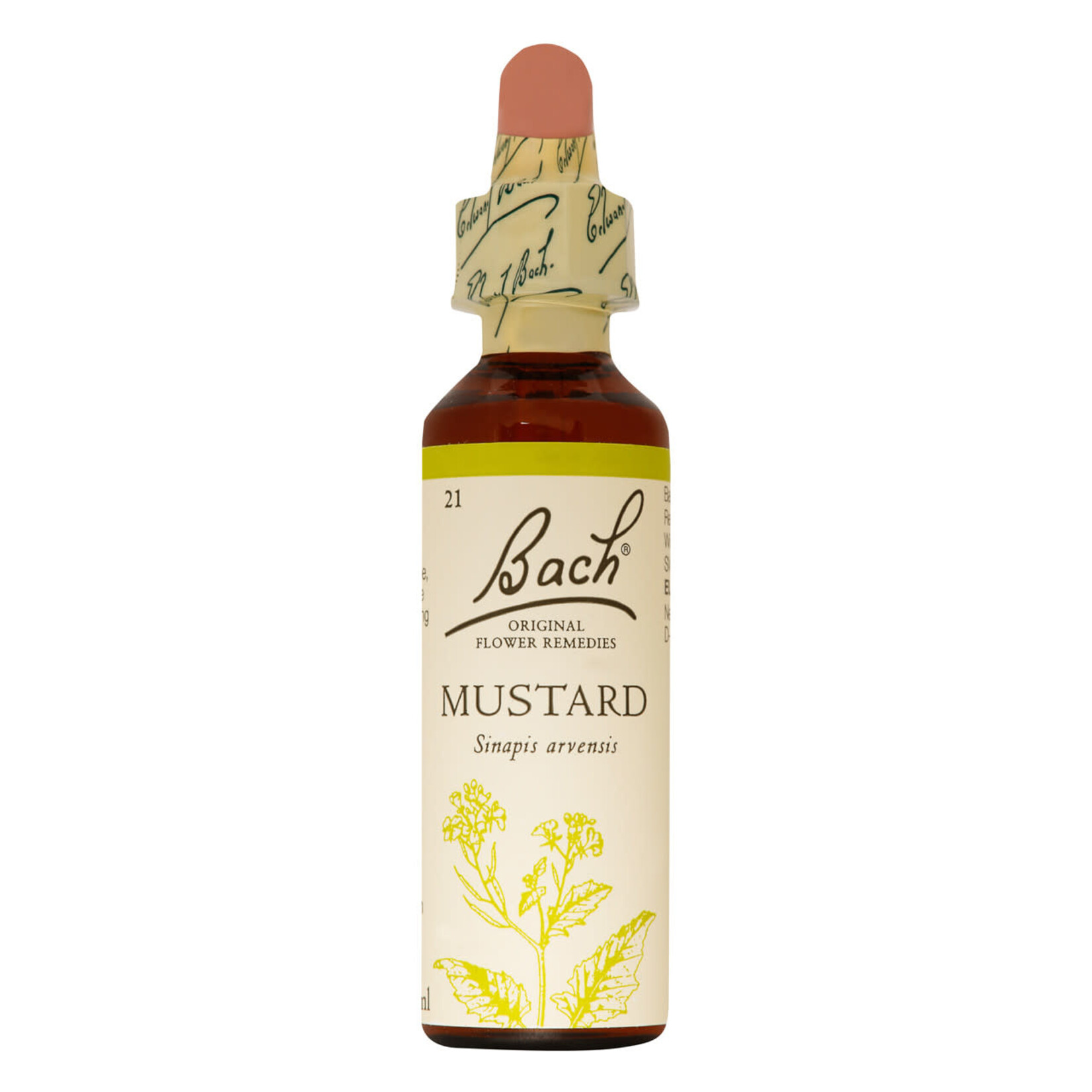 BACH FLOWER REMEDIES BACH FLOWER MUSTARD 20ML
