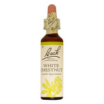 BACH FLOWER REMEDIES BACH FLOWER WHITE CHESTNUT 20ML