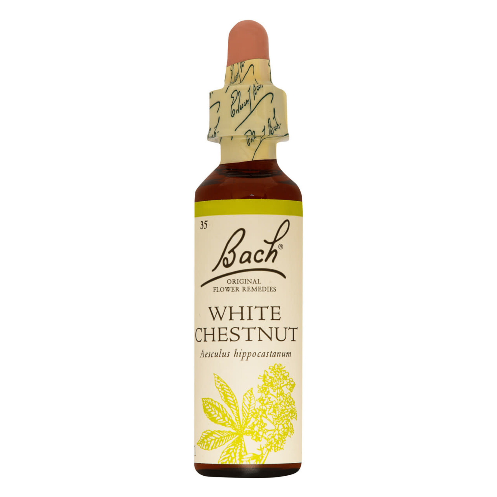 BACH FLOWER REMEDIES BACH FLOWER WHITE CHESTNUT 20ML