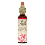 BACH FLOWER REMEDIES BACH FLOWER SWEET CHESTNUT 20ML
