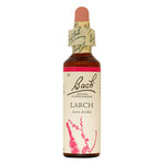 BACH FLOWER REMEDIES BACH FLOWER LARCH 20ML