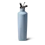 ReHydration Bottle