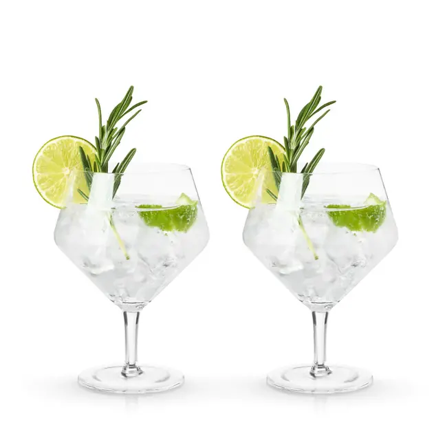 Viski Gin & Tonic Glasses -Set of 2