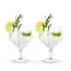 Viski Gin & Tonic Glasses -Set of 2