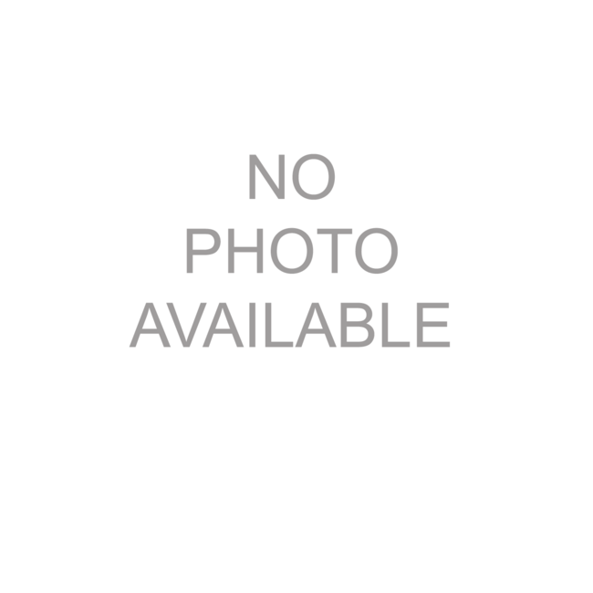 Tumbleweed Leaf with Stone Necklace