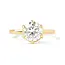 Jamie Park FINE Peonia Round 6 Prong Solitaire Ring