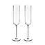 Viski Laurel Champagne Flutes