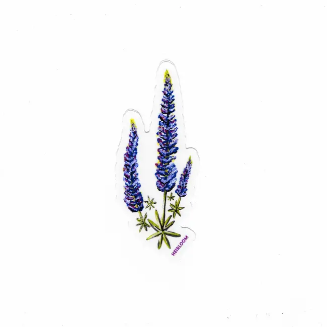 Heirloom Lupine Wildflower-Sticker