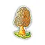 Heirloom Morel Mushroom Sticker